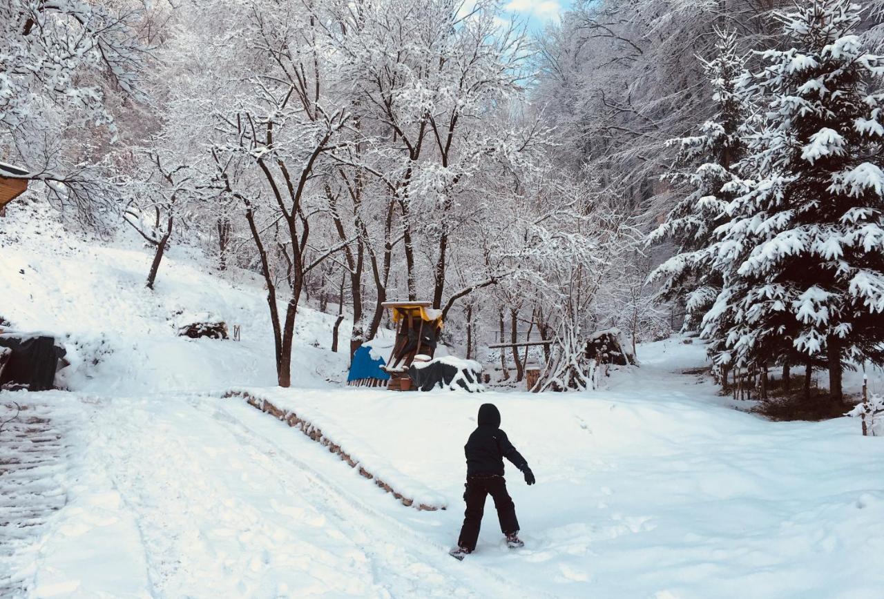 Soho Lodge Rasnov Zewnętrze zdjęcie