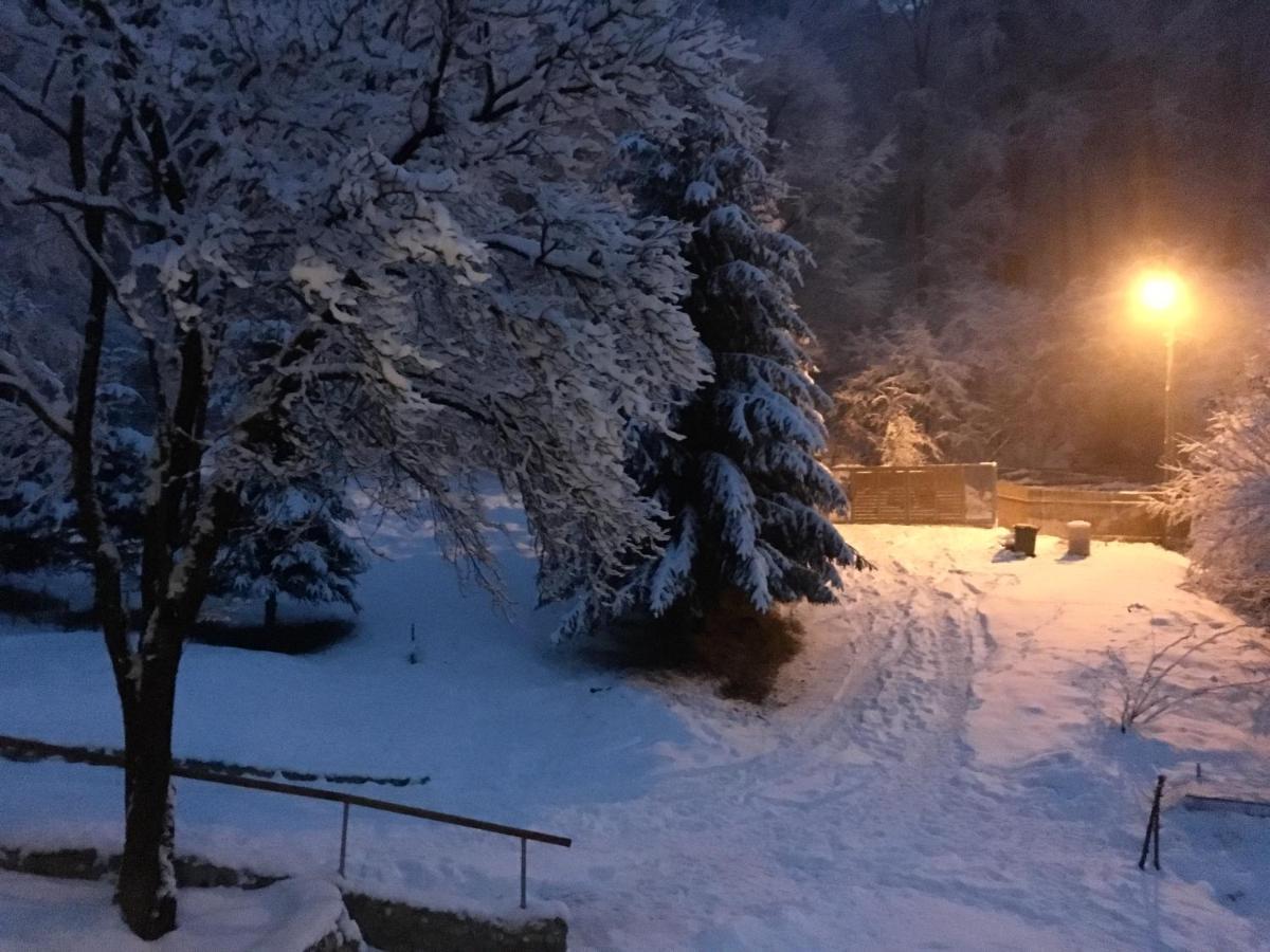 Soho Lodge Rasnov Zewnętrze zdjęcie