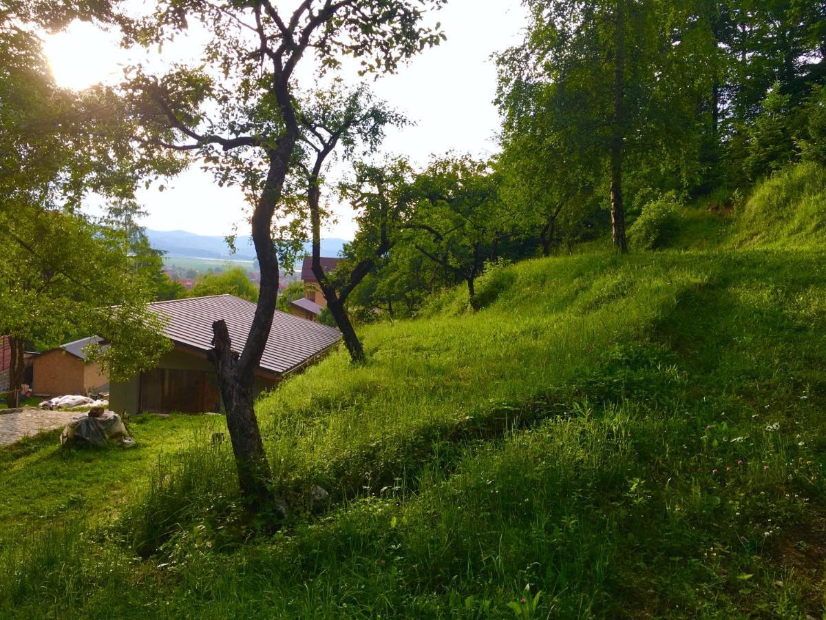 Soho Lodge Rasnov Zewnętrze zdjęcie