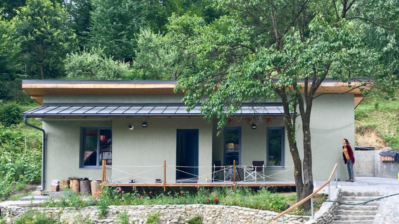 Soho Lodge Rasnov Zewnętrze zdjęcie