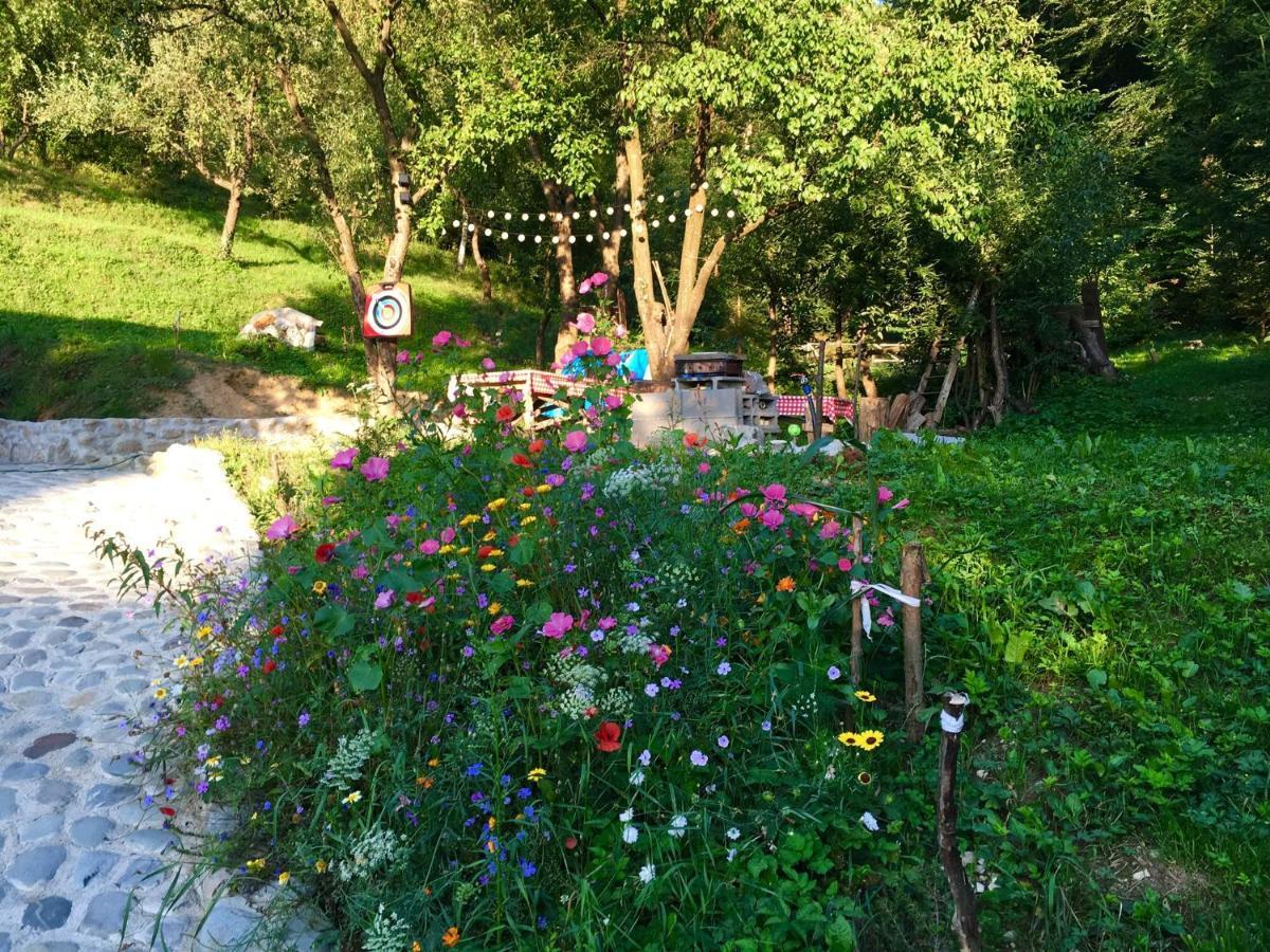 Soho Lodge Rasnov Zewnętrze zdjęcie
