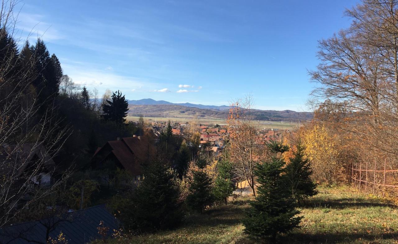 Soho Lodge Rasnov Zewnętrze zdjęcie