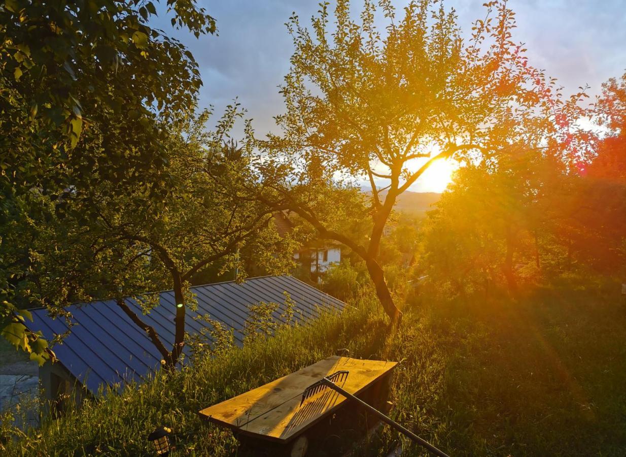 Soho Lodge Rasnov Zewnętrze zdjęcie