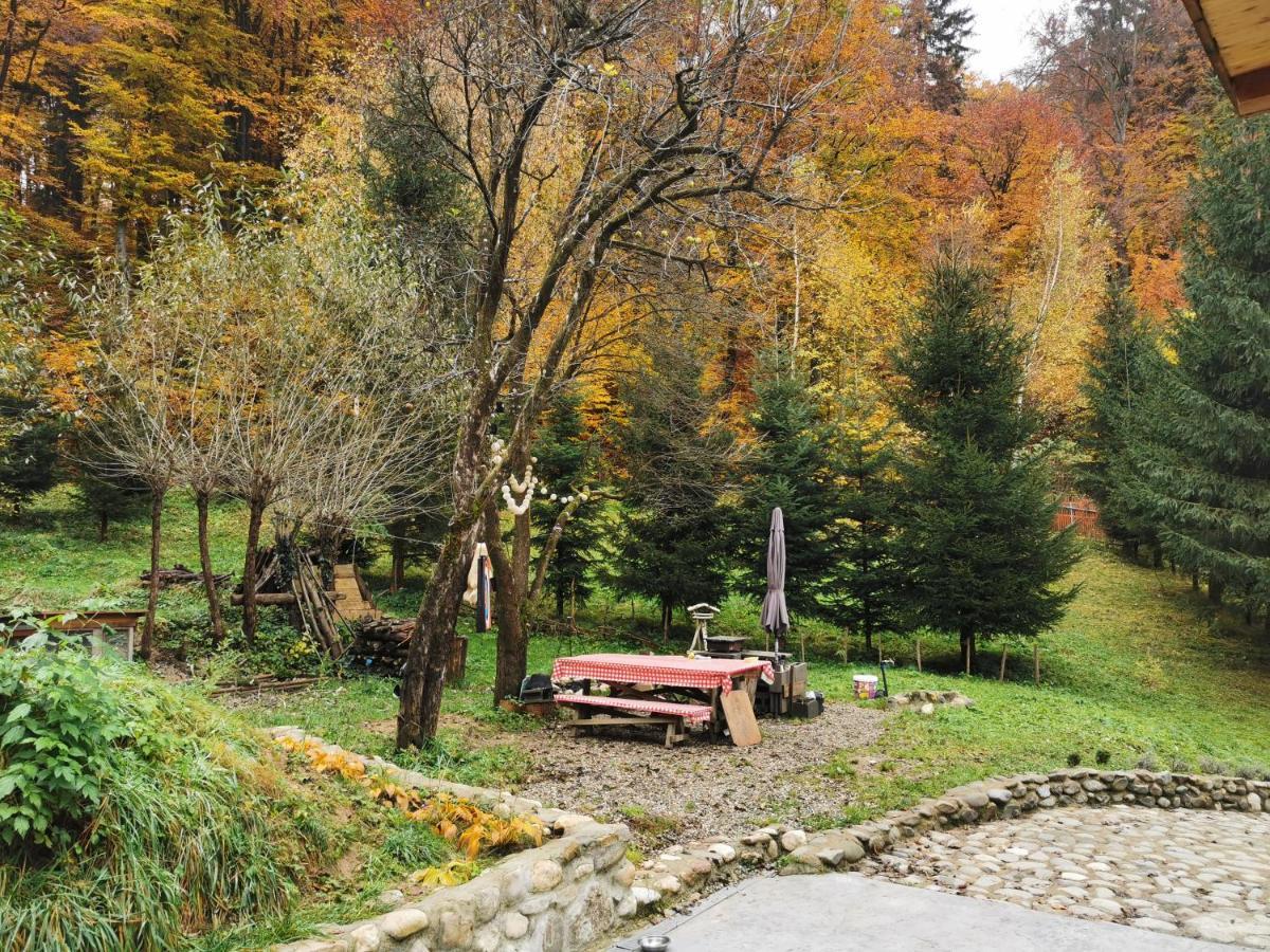 Soho Lodge Rasnov Zewnętrze zdjęcie