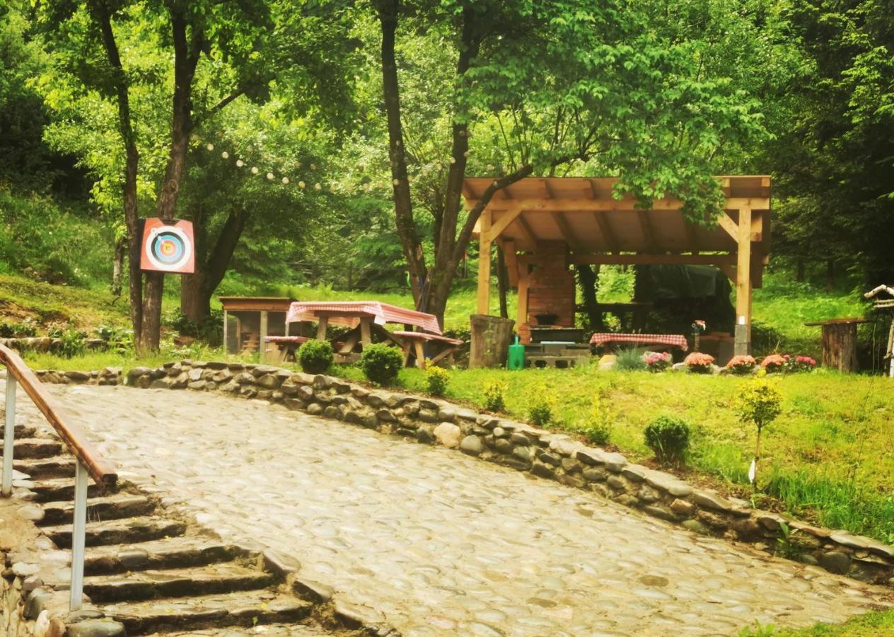 Soho Lodge Rasnov Zewnętrze zdjęcie