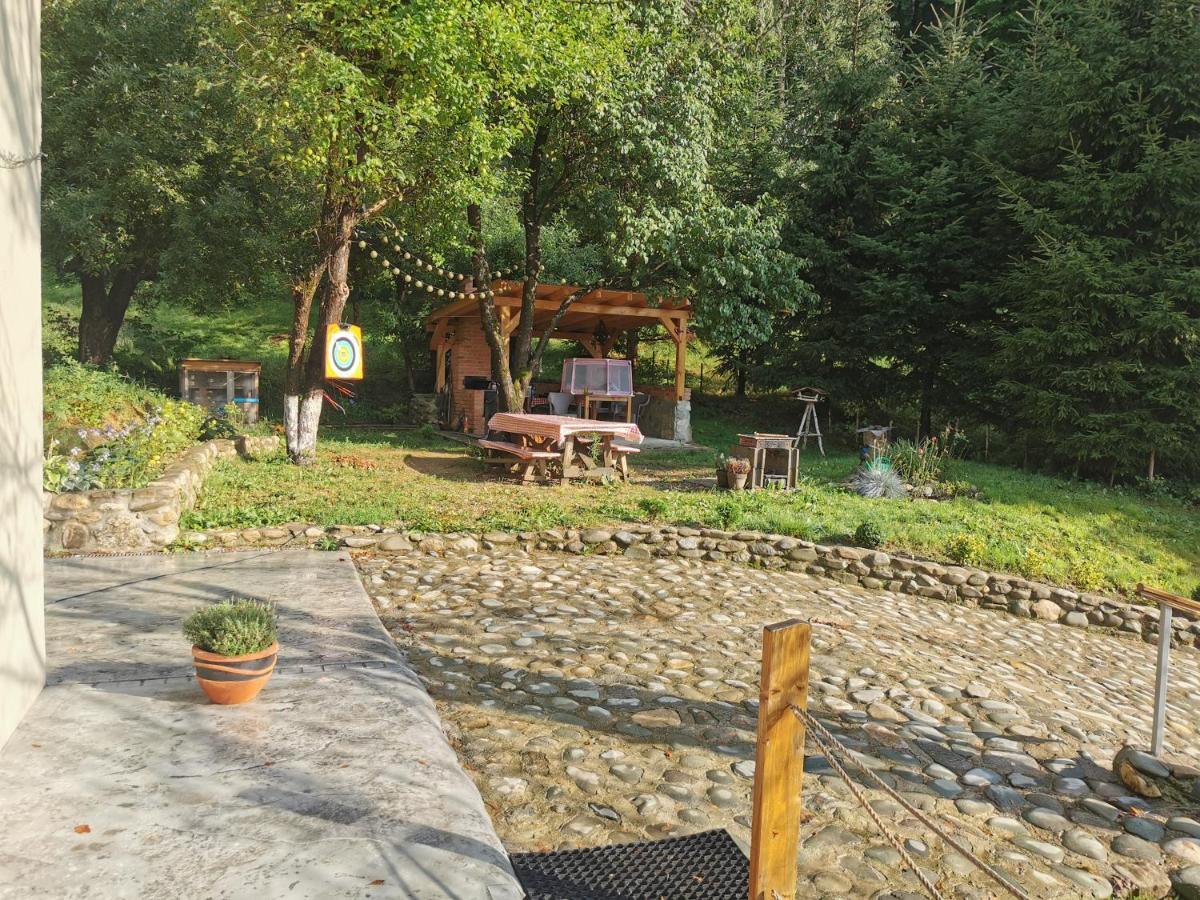 Soho Lodge Rasnov Zewnętrze zdjęcie