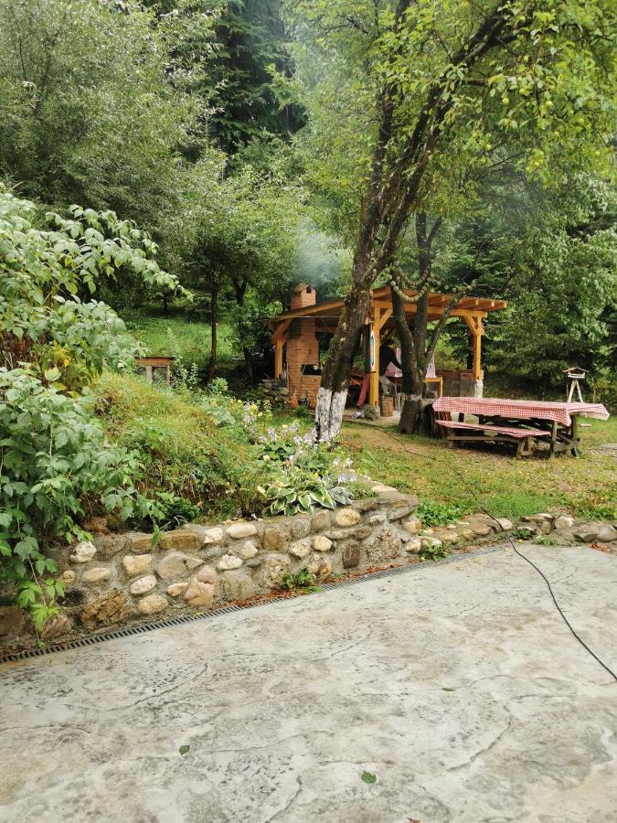 Soho Lodge Rasnov Zewnętrze zdjęcie