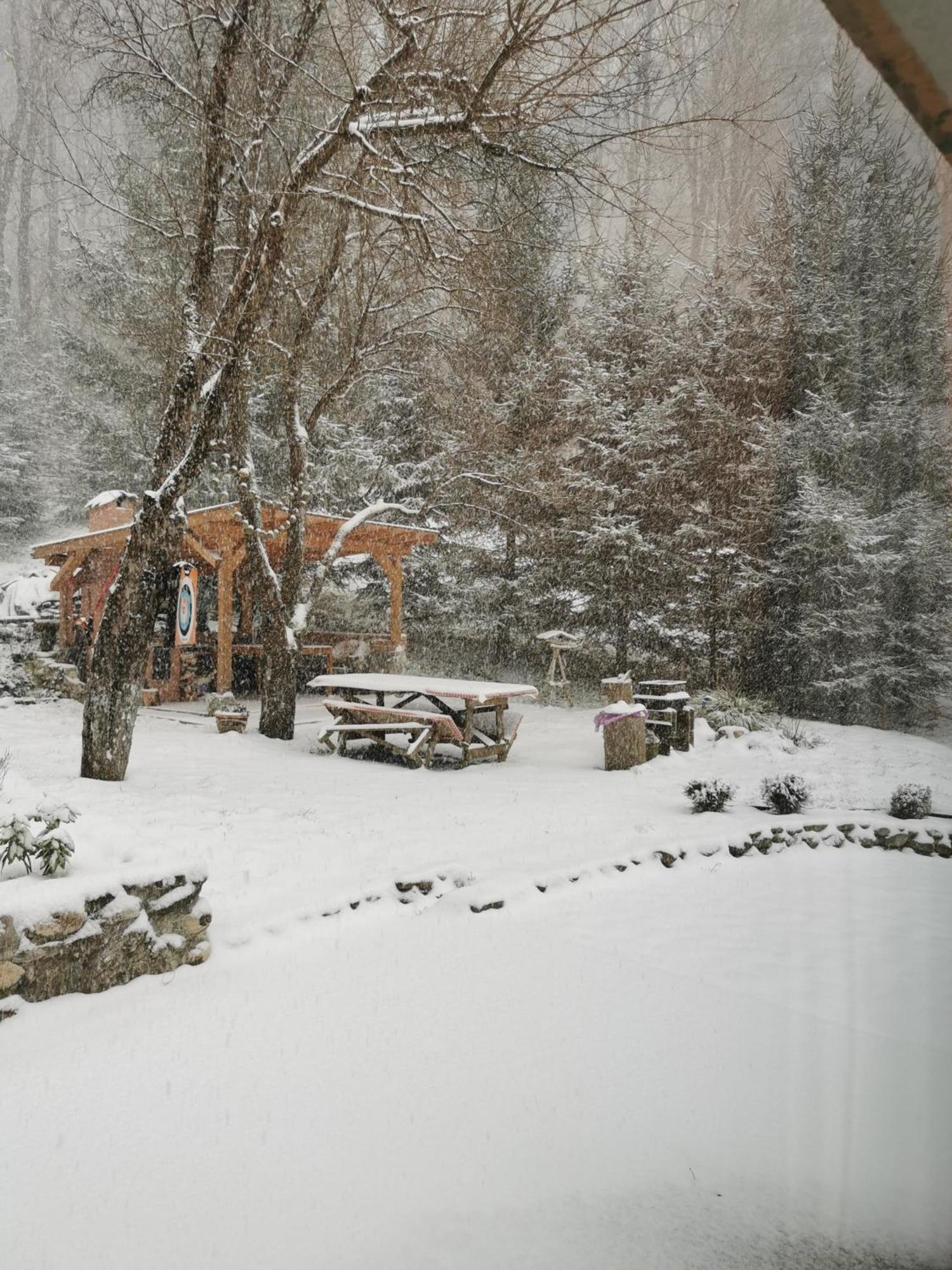Soho Lodge Rasnov Zewnętrze zdjęcie