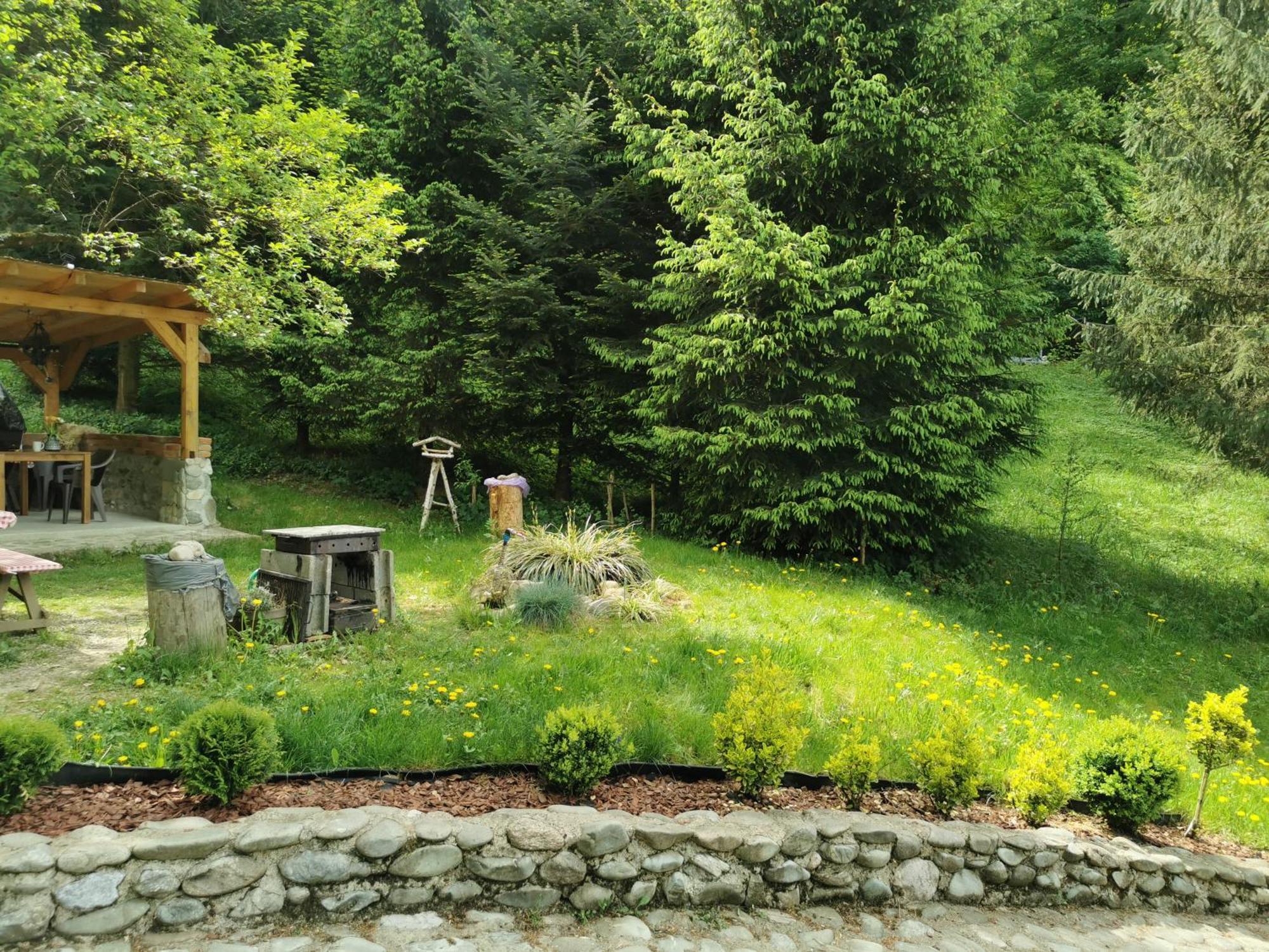 Soho Lodge Rasnov Zewnętrze zdjęcie